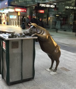 หนึ่งในหมูที่ Rundle Mall