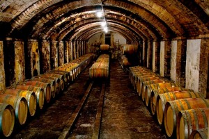 หนึ่งในห้องบ่มของ Barone Ricasoli