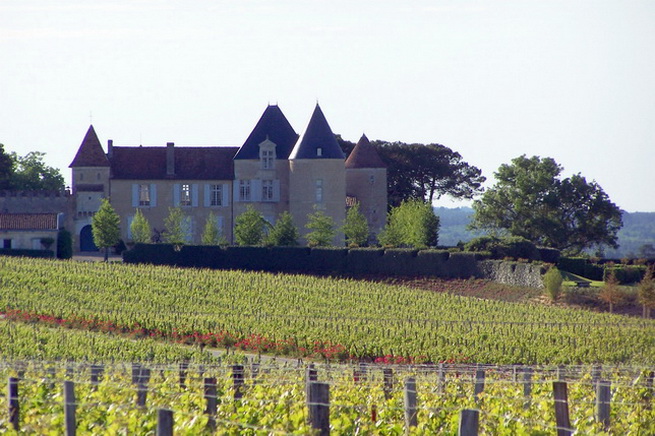 Château d'Yquem