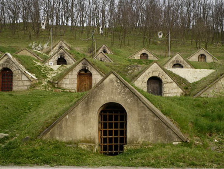Tokaj Wine region