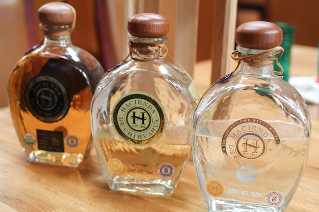 Sotol5