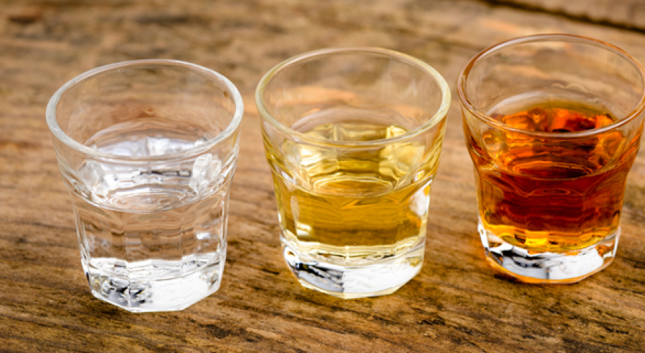 Sotol6
