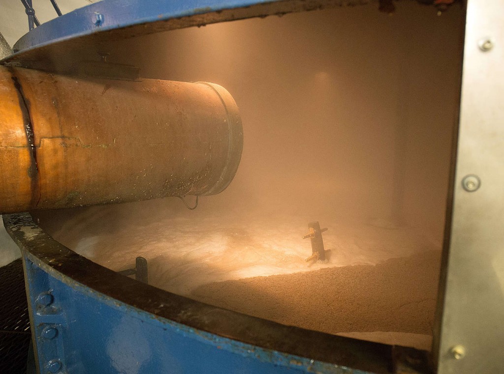 Glen Scotia inside the mash