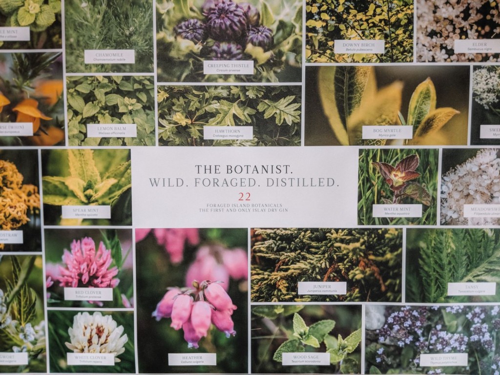 Botanist-Botanicals-1440x1080